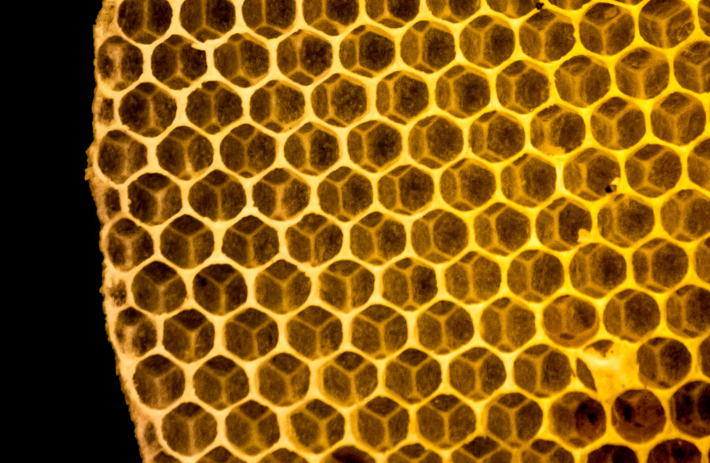 What honey and sugar each cost to produce